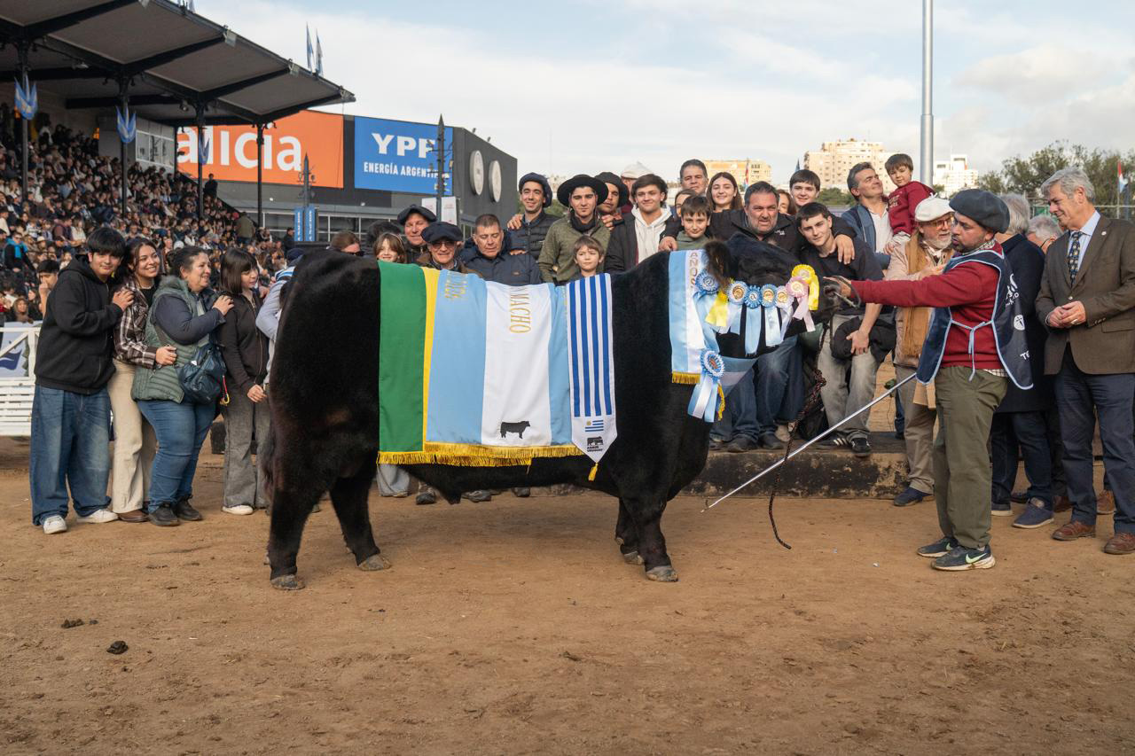 El mejor Angus del país salió de la Cabaña Don José, de La Dulce